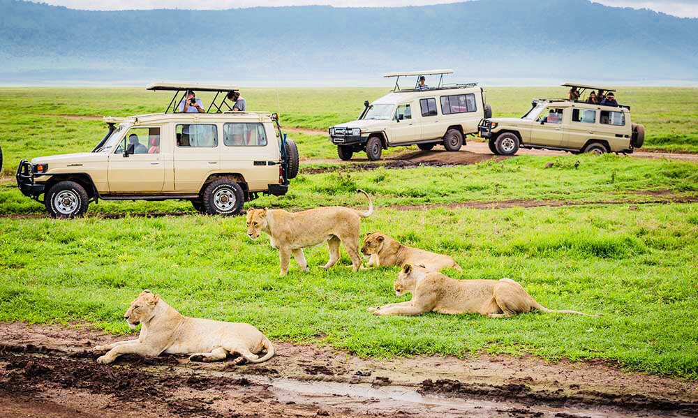 UNFORGATTABLE AFRICA HOME OF BIG FIVE